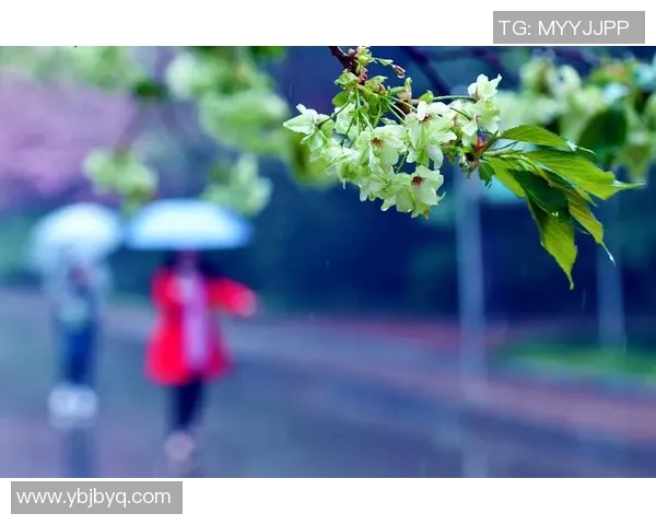 何思雨:在风雨中绽放的坚韧与希望的故事 何思雨:在风雨中绽放的坚韧与希望的故事